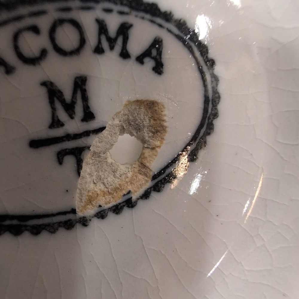 Antique Tacoma M/T Ironstone Shaving Scuttle Mug Pink Floral Gold Trim - Picture 5 of 5